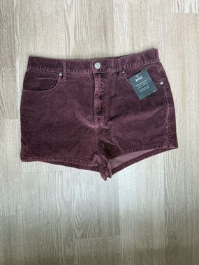BDG Katie super high rise corduroy shorts NWT!